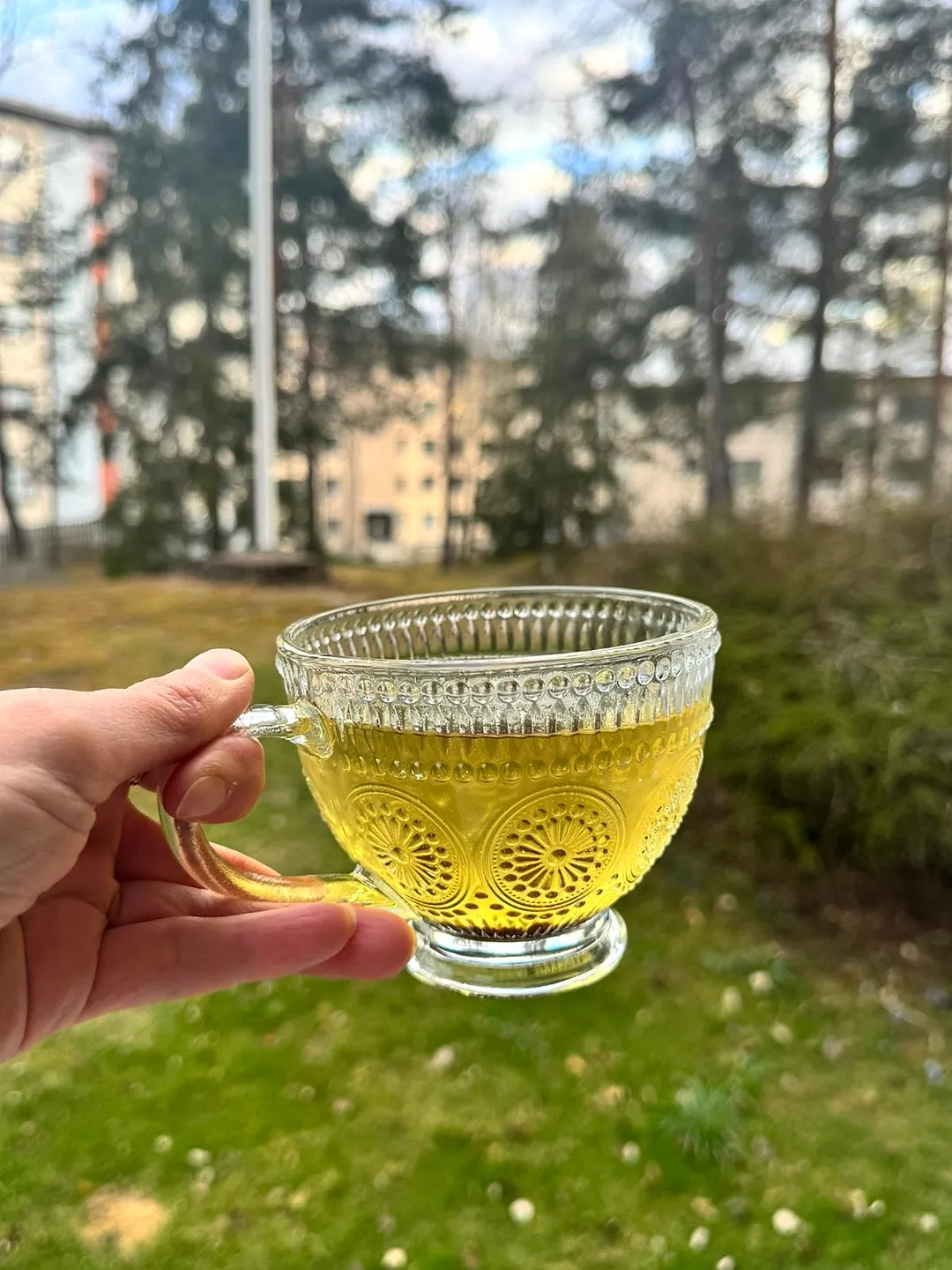 Tartary buckwheat tea golden infusion in a glass cup, held outdoors in Finland